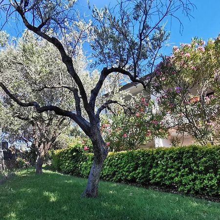 Welcomely - La Casa Di Rita Apartment Budoni Exterior photo